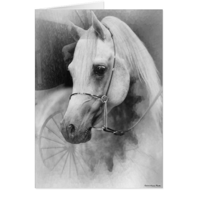 白馬カード (正面)