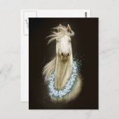 白馬ポートレート葉書 ポストカード (正面/裏面)