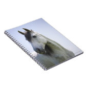 白馬ポートレート ノートブック (右側)