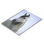 白馬ポートレート ノートブック (左側)