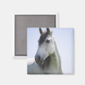 白馬ポートレート マグネット (正面/裏面)