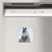 白馬ポートレート マグネット (インサイチュ (食洗機))