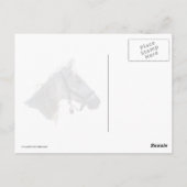 白馬ランニングの雪 ポストカード (裏面)