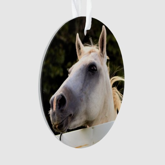 白馬写真 オーナメント (正面)