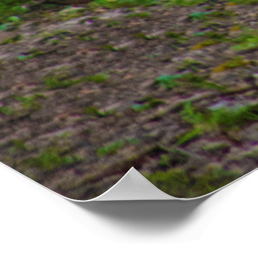 白馬写真 ポスター (角)