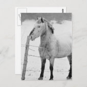 白馬冬 ポストカード (正面/裏面)