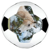 白馬用泥状おもしろい、サッカーボール サッカーボール (回転)
