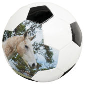 白馬用泥状おもしろい、サッカーボール サッカーボール (3/4)