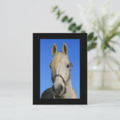 白馬葉書 ポストカード (スタンド正面)