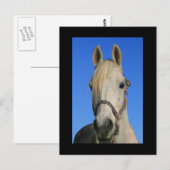 白馬葉書 ポストカード (正面/裏面)