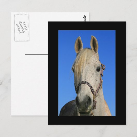 白馬葉書 ポストカード (正面/裏面)
