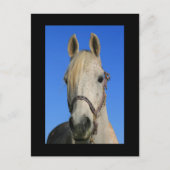 白馬葉書 ポストカード (正面)