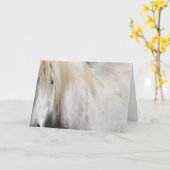 白馬誕生日 カード (黄色い花)