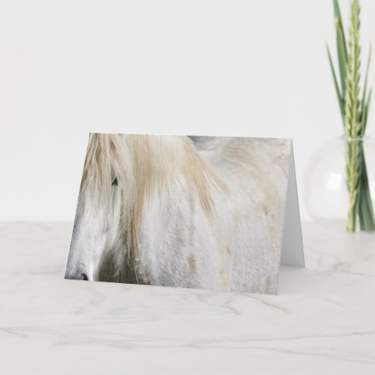 白馬誕生日 カード (正面)