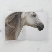 白馬走馬グリーティングカード カード (内部)