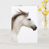 白馬走馬グリーティングカード カード (黄色い花)
