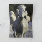白馬走馬グリーティングカード カード (内部)