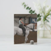 白馬馬 ポストカード (スタンド正面)