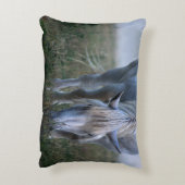 白馬 アクセントクッション (裏面(縦))