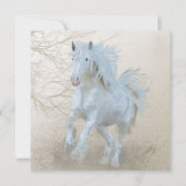 白馬 – グリーティングカード シーズンカード (正面)