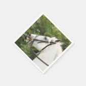 白馬 スタンダードカクテルナプキン (角)