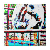 白馬 タイル (正面)