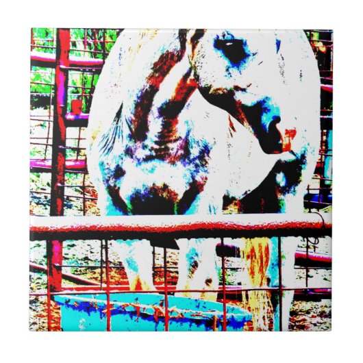 白馬 タイル (正面)