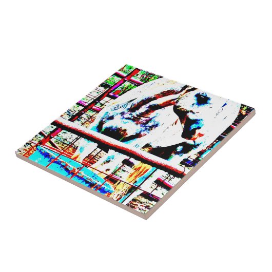 白馬 タイル (側面)