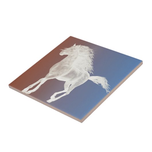 白馬 タイル (側面)