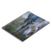 白馬 ノートブック (左側)