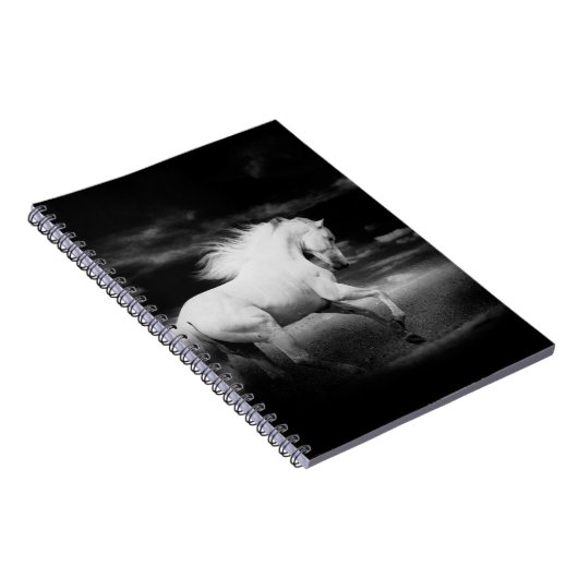 白馬 ノートブック (右側)