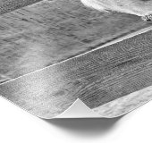 白馬 フォトプリント            (角)