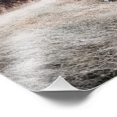 白馬 フォトプリント            (角)