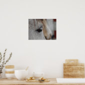 白馬 ポスター (キッチン)