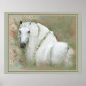 白馬 - ポスター (正面)