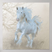 白馬 – ポスター (正面)