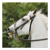 白馬 ポスター (正面)