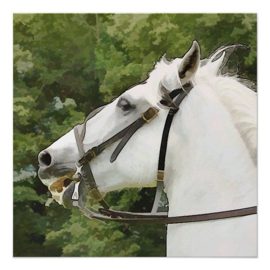 白馬 ポスター (正面)