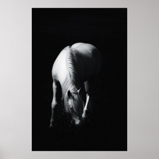 白馬 ポスター (正面)