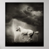 白馬 ポスター (正面)