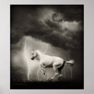 白馬 ポスター