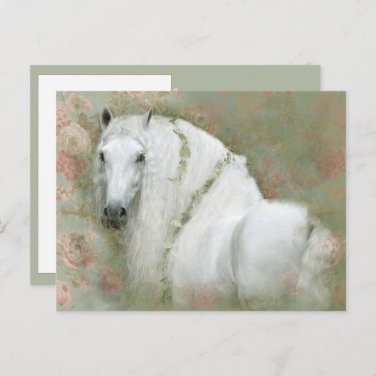 白馬 - ポストカード (正面/裏面)