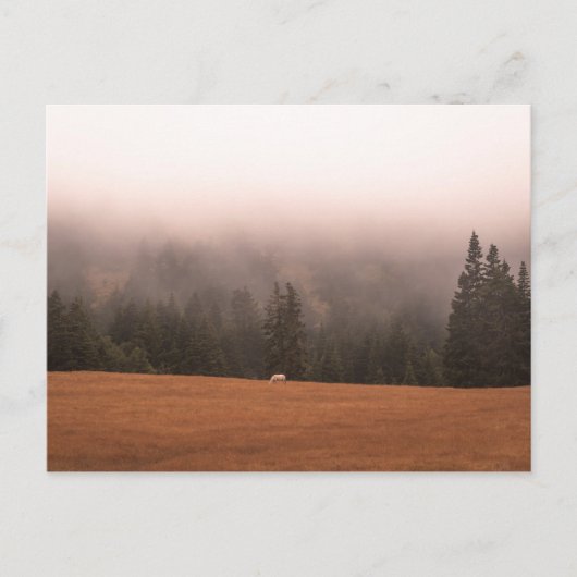 白馬 ポストカード (正面)