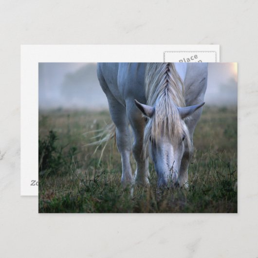 白馬 ポストカード (正面/裏面)