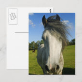 白馬 ポストカード (正面/裏面)