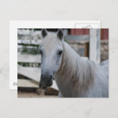 白馬 ポストカード (正面/裏面)
