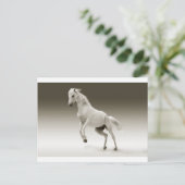 白馬 ポストカード (スタンド正面)