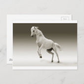 白馬 ポストカード (正面/裏面)