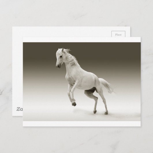 白馬 ポストカード (正面/裏面)