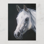 白馬 ポストカード (正面)
